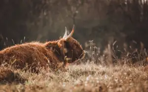 Jak Darovat Peníze